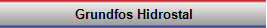 Grundfos, Hidrostal